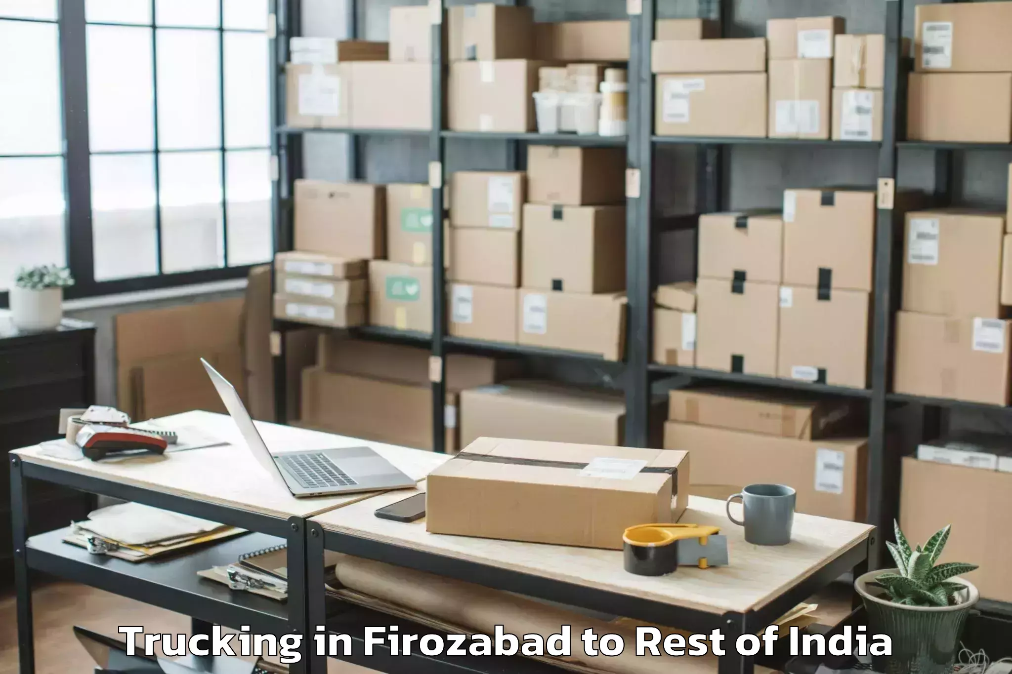 Hassle-Free Firozabad to Mariyang Trucking